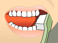 Model of how to brush your lower-right teeth
