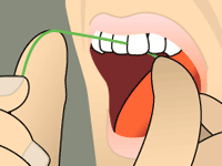 Model of how to floss